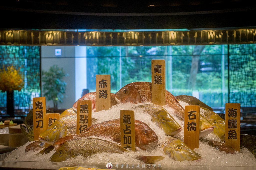  @布雷克的出走旅行視界