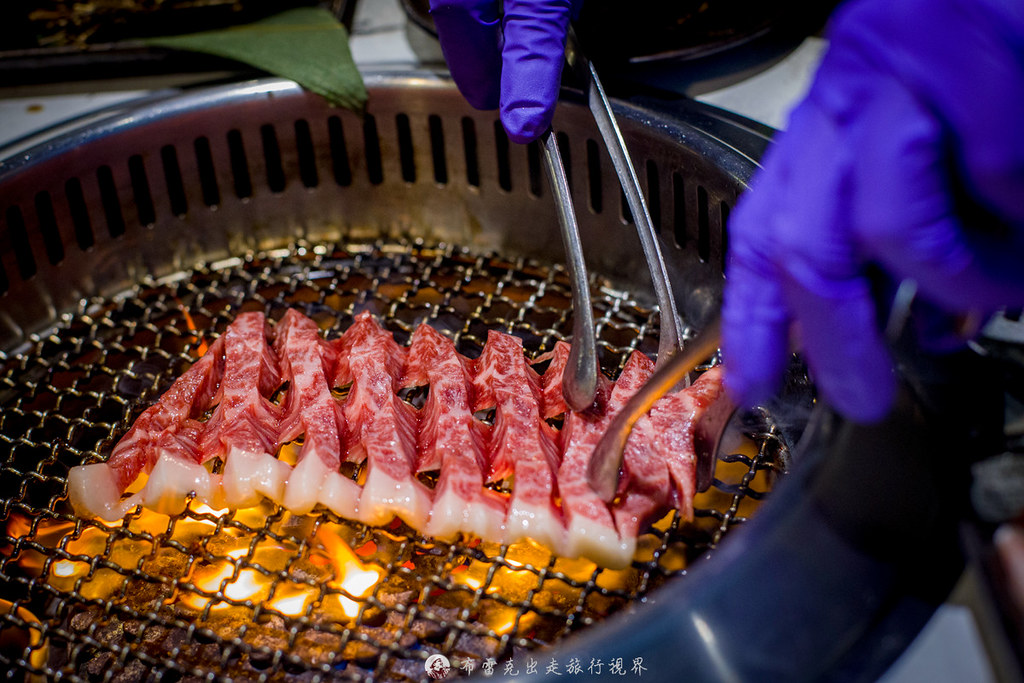  @布雷克的出走旅行視界